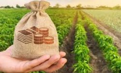 الاستثمار الزراعي في اليمن  ودوره في تحقيق الأمن الغذائي. 