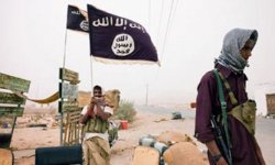 تقرير يكشف عن إنشاء 17 مركزا تكفيريا جديدا في المحافظات الجنوبية