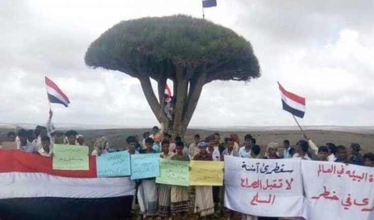 احتلال إماراتي يسعى لتغيير هوية جزيرة سقطرى 