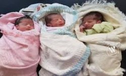 امرأة تلد ثلاثة توائم في مستشفى فلسطين بالأمانة