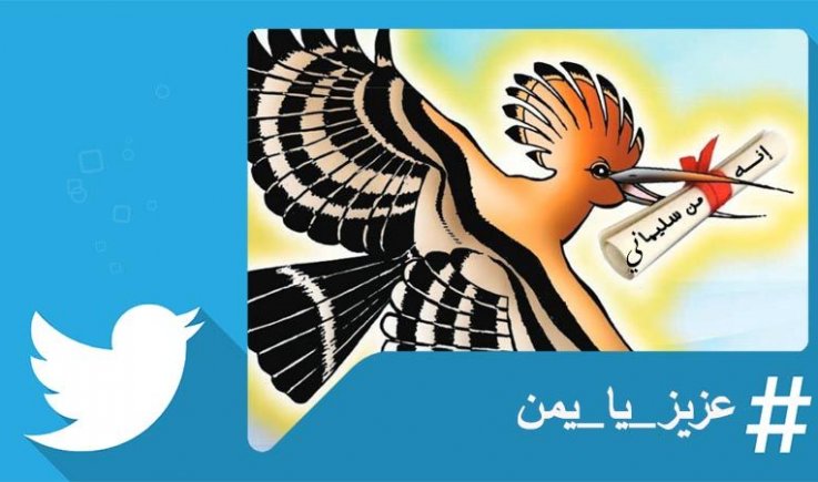 من اليمن.. هنا فلسطين