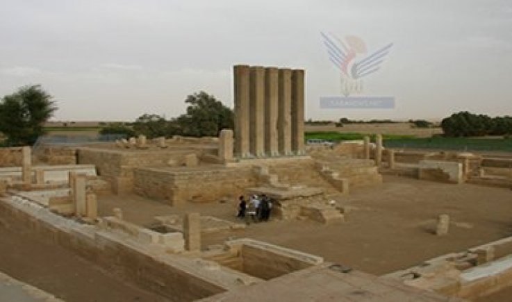  مشايخ ووجهاء مأرب يؤكدون دعمهم المطلق لمعركة تحرير مدينة مأرب