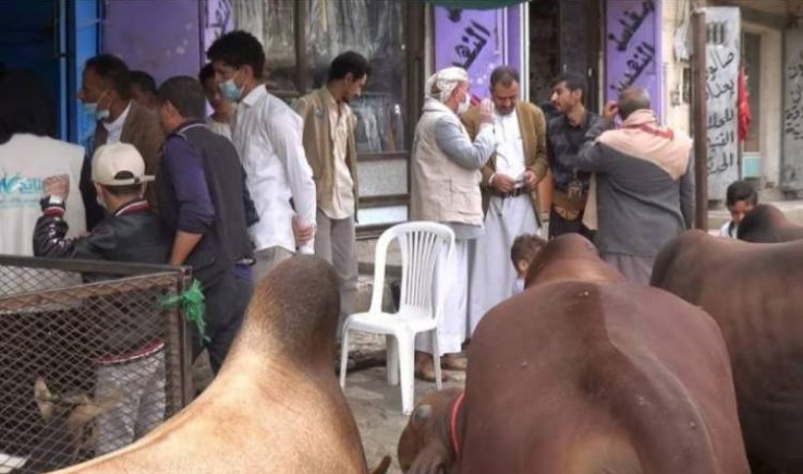 تدشين حملة ميدانية للحد من ذبح صغار وإناث المواشي