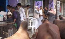 تدشين حملة ميدانية للحد من ذبح صغار وإناث المواشي