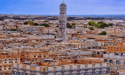 تدشين البيع المباشر لمادة الدقيق بذمار