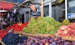 خبيرة تغذية تتحدث عن مناعة الفاكهة والثمار للوقاية من الفيروسات