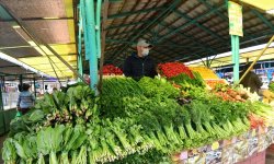 الكشف عن مواد غذائية ترفع خطر الإصابة بتجلطات الدم