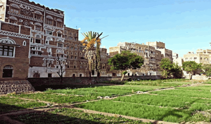 افتتاح معرض زراعي للمشاتل المدرسية بصنعاء