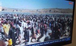 صنعاء تستقبل وفودا قبلية حاشدة من مأرب وشبوة والبيضاء