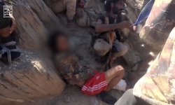  حصاد مرتزقة ودواعش الامارات في شبوة