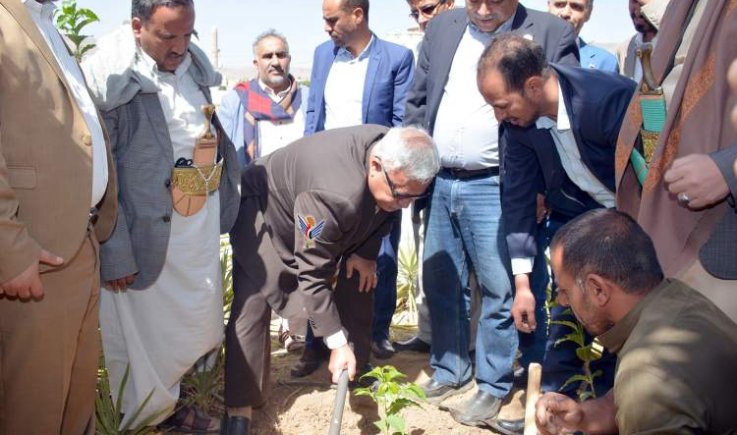 زراعة مليون شجرة بن في 2022