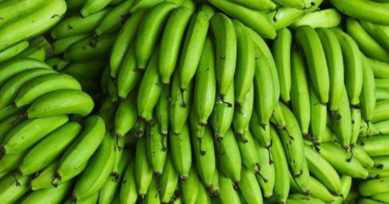 فوائد مذهلة للموز الأخضر