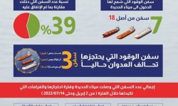 كم سفينة وقود دخلت الى اليمن خلال الهدنة؟