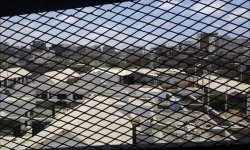 الأمم المتحدة: نطالب الإمارات بوقف التعذيب الذي تمارسه قواتها باليمن