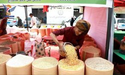 تواصل فعاليات معرض الرسول الأعظم لمحاصيل الحبوب