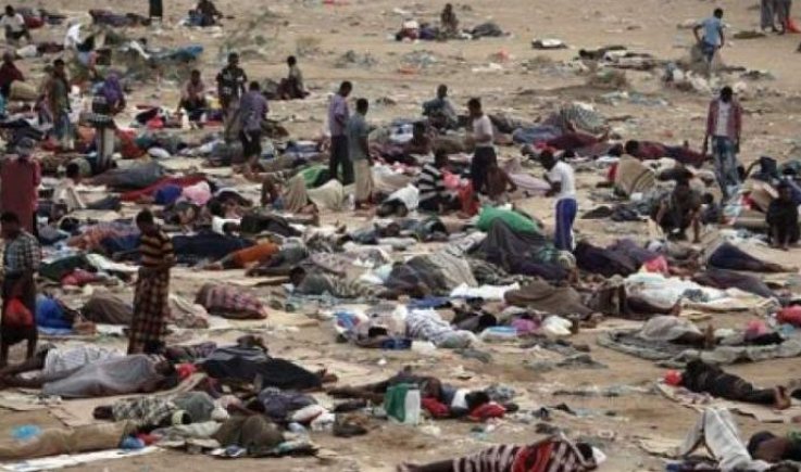 شاهد.. مجزرة النظام السعودي بحق مهاجرين أفارقة على الحدود