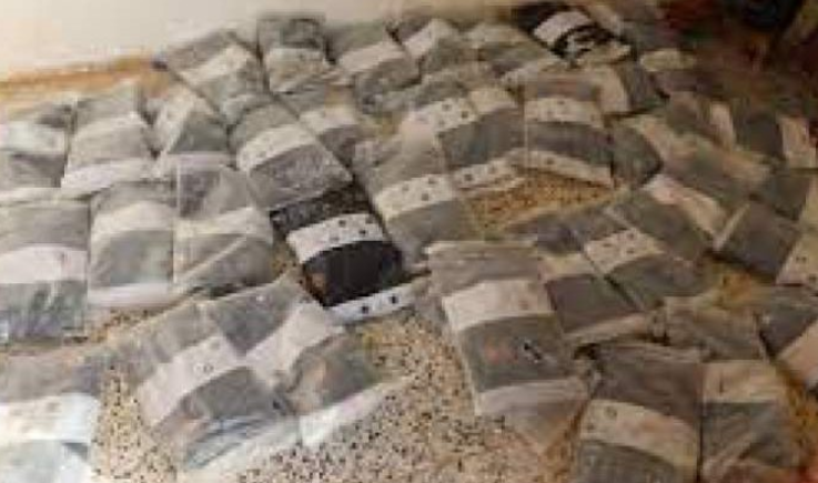 ضبط طن و485 كجم حشيش في عمران