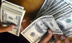 استقرار الدولار الأمريكي مع تزايد توقعات رفع الفائدة