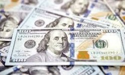  استقرار الدولار قرب أعلى مستوى له في ستة أشهر