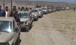 قبائل الصبيحة تحتشد لمواجهة الخائن طارق صالح 