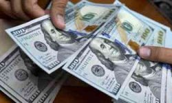 ارتفاع الدولار على خلفية بيانات قوية لسوق العمل الأمريكي