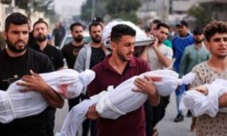 ارتفاع عدد شهداء غزة الى أكثر من 11500 شهيد منذ بدء الحرب