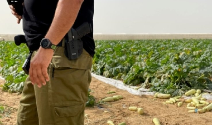 إعلام العدو: 15 ألف جندي صهيوني سيعملون في الزراعة بسبب نقص العمال