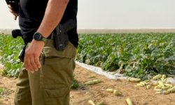 إعلام العدو: 15 ألف جندي صهيوني سيعملون في الزراعة بسبب نقص العمال