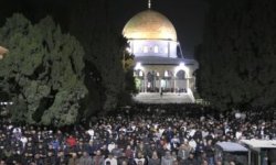 55 ألف مصل يؤدون صلاتي العشاء والتراويح في المسجد الأقصى