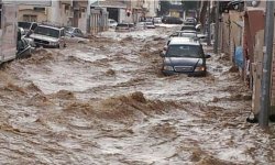 السيول .. ما بين النعمة والنقمة 