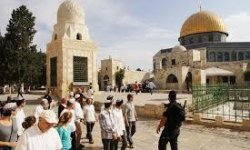 عشرات المستوطنين يقتحمون المسجد الأقصى بحماية شرطة العدو الصهيوني