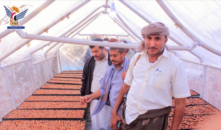 محافظ الحديدة يدشّن موسم حصاد التمور ومشروع التجفيف بمديرية التحيتا