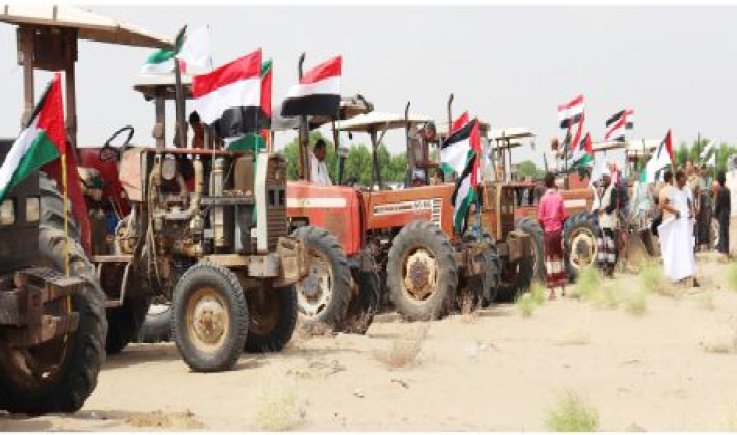 الحديدة .. تدشين مشروع زراعة الكثبان الرملية والأراضي الصالبة في مديرية المنيرة