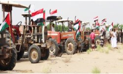 الحديدة .. تدشين مشروع زراعة الكثبان الرملية والأراضي الصالبة في مديرية المنيرة