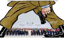 سقطت الحماية ولم يسقط التطبيع .. يا أمة ضحكت من جبنها الأمم ؟!
