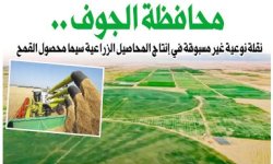 محافظة الجوف .. نقلة نوعية غير مسبوقة في إنتاج المحاصيل الزراعية سيما محصول القمح