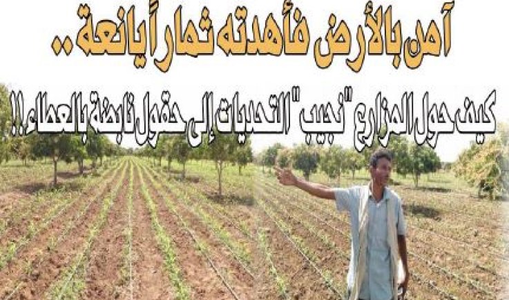 آمن بالأرض فأهدته ثماراً يانعة .. كيف حول المزارع "نجيب" التحديات إلى حقول نابضة بالعطاء !!