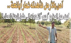 آمن بالأرض فأهدته ثماراً يانعة .. كيف حول المزارع "نجيب" التحديات إلى حقول نابضة بالعطاء !!