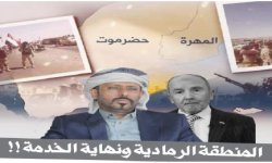 المنطقة الرمادية ونهاية الخدمة !!
