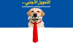 التمويل الأجنبي .. أخطر أسلحة التمزيق للشعوب والتحكم بمصائرها