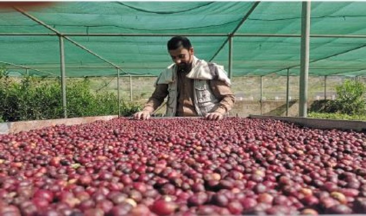 جبل الشرق تدشّن مركز متخصص لتطوير وتسويق البن