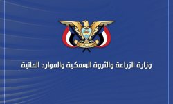 وزارة الزراعة تُديّن اعتداءات إريترية وصومالية على الصيادين اليمنيين