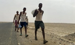 بتواطؤ من الاحتلال وادواته:وصول أكثر من 21 ألف مهاجر إلى اليمن