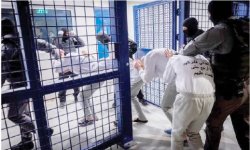 هيئة الأسرى الفلسطينيين تكشف عن أماكن احتجاز 44 معتقلاً من غزة