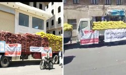 بذور البطاطس .. معركة سيادة وطنية في وجه الاستيراد الخارجي !