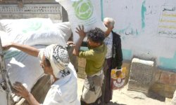 الفول السوداني.. مسار نجاح محصول نقدي بحاجة لاهتمام أكبر