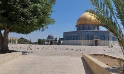  30 يومًا من الصمت.. الاحتلال يغلق الأقصى ويفرض واقعًا جديدًا