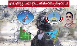كيانات وتفريخات سايكس بيكو المصالح والارتهان