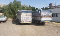 ضبط أكثر من 15 طناً من المبيدات المحظورة والمهربة في أمانة العاصمة