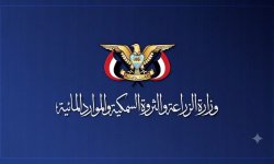 وزارة الزراعة والثروة السمكية تعلن إغلاق موسم اصطياد الحبار في البحر الأحمر